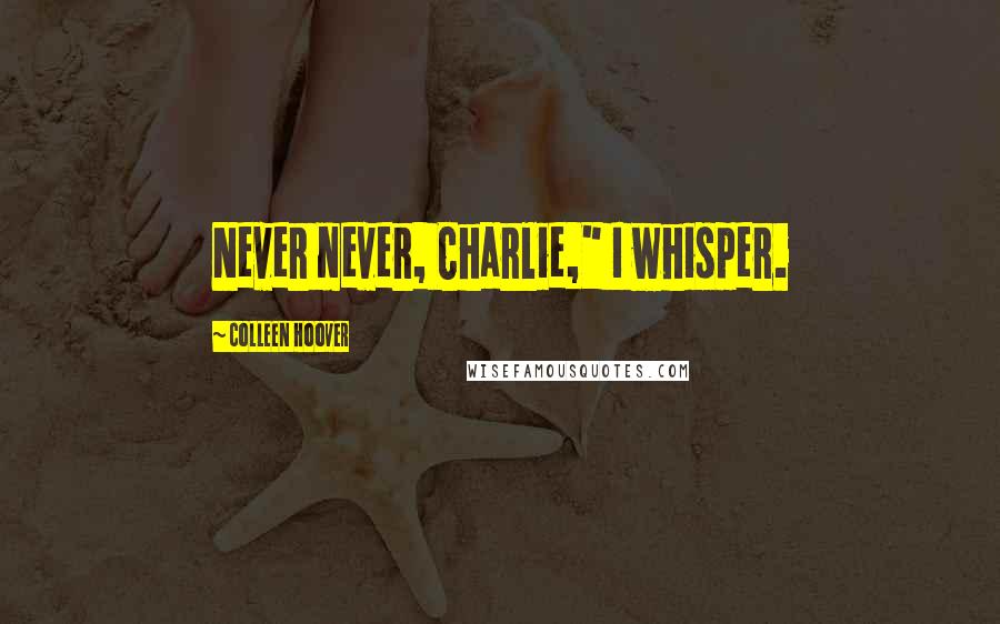 Colleen Hoover Quotes: Never never, Charlie," I whisper.