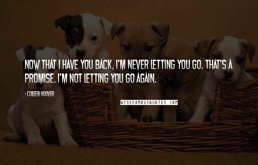 Colleen Hoover Quotes: Now that I have you back, I'm never letting you go. That's a promise. I'm not letting you go again.