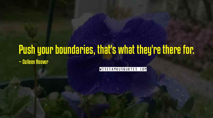 Colleen Hoover Quotes: Push your boundaries, that's what they're there for.