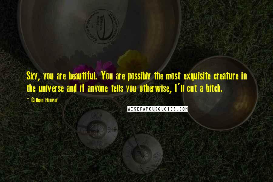 Colleen Hoover Quotes: Sky, you are beautiful. You are possibly the most exquisite creature in the universe and if anyone tells you otherwise, I'll cut a bitch.