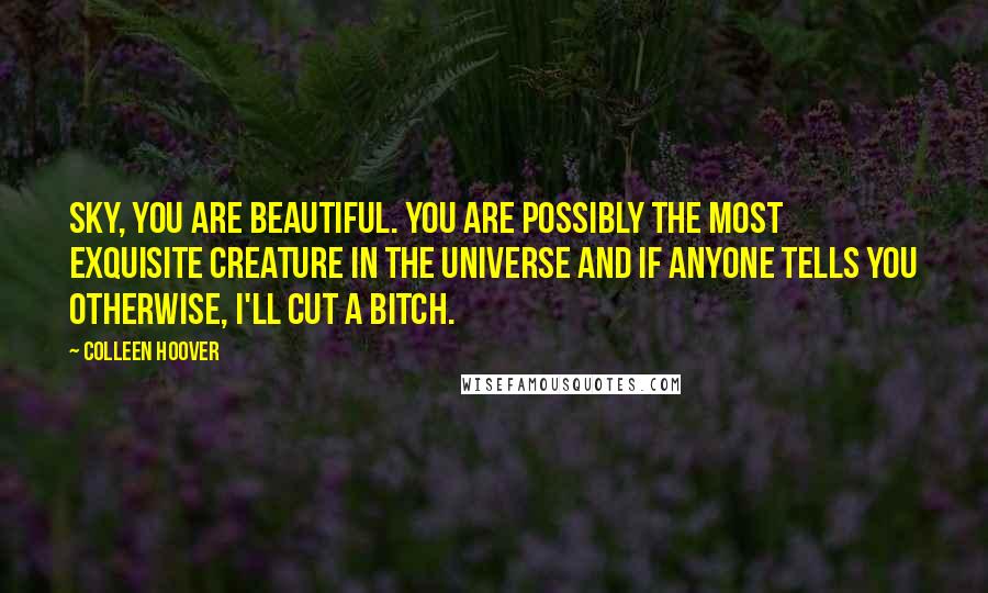 Colleen Hoover Quotes: Sky, you are beautiful. You are possibly the most exquisite creature in the universe and if anyone tells you otherwise, I'll cut a bitch.