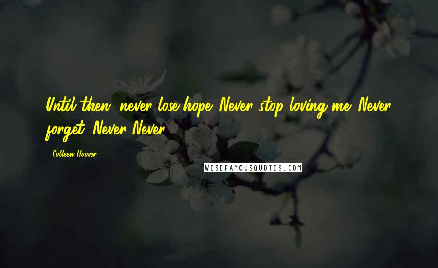 Colleen Hoover Quotes: Until then, never lose hope. Never stop loving me. Never forget. Never Never,