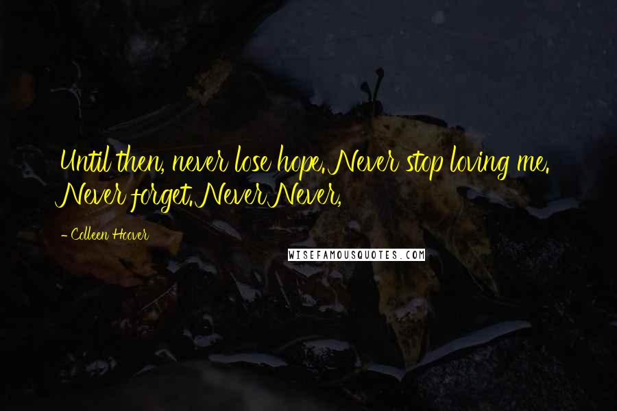 Colleen Hoover Quotes: Until then, never lose hope. Never stop loving me. Never forget. Never Never,