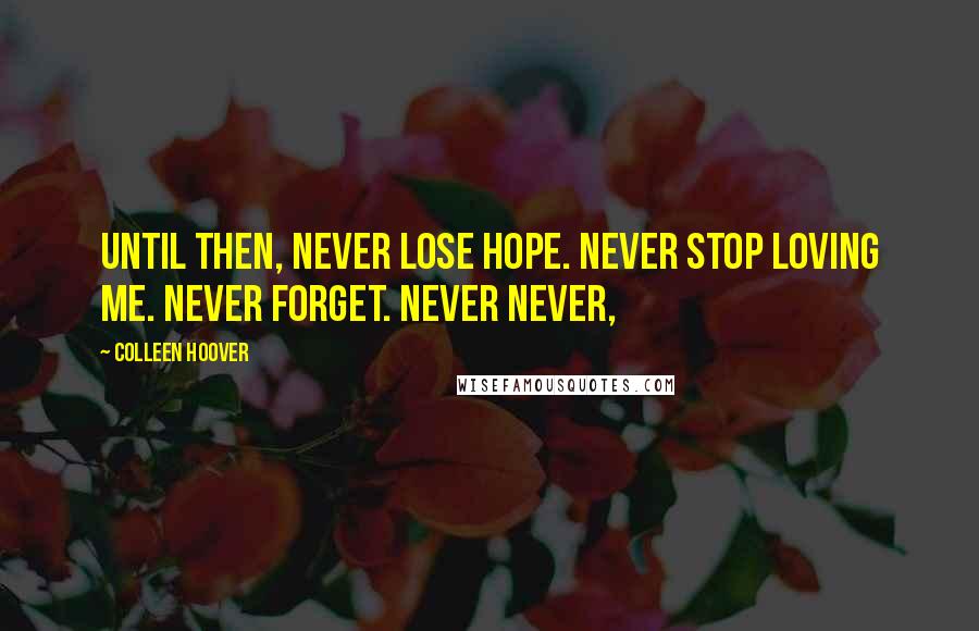 Colleen Hoover Quotes: Until then, never lose hope. Never stop loving me. Never forget. Never Never,