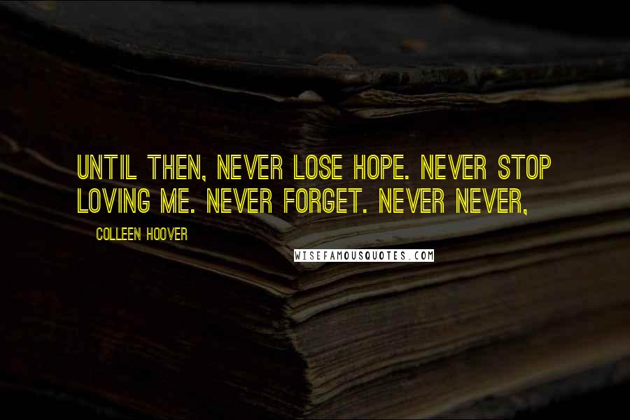 Colleen Hoover Quotes: Until then, never lose hope. Never stop loving me. Never forget. Never Never,