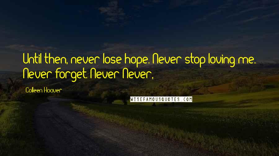 Colleen Hoover Quotes: Until then, never lose hope. Never stop loving me. Never forget. Never Never,