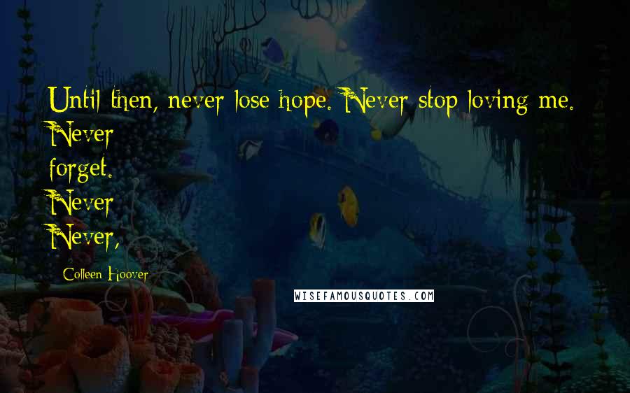 Colleen Hoover Quotes: Until then, never lose hope. Never stop loving me. Never forget. Never Never,
