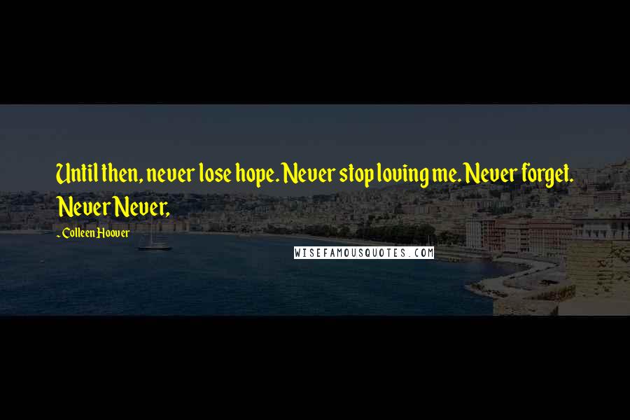 Colleen Hoover Quotes: Until then, never lose hope. Never stop loving me. Never forget. Never Never,
