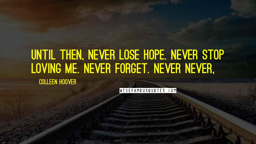 Colleen Hoover Quotes: Until then, never lose hope. Never stop loving me. Never forget. Never Never,