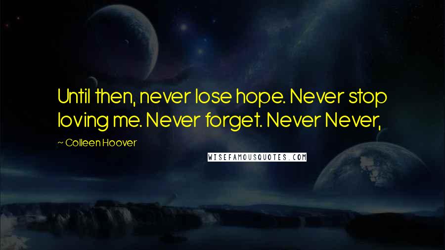 Colleen Hoover Quotes: Until then, never lose hope. Never stop loving me. Never forget. Never Never,
