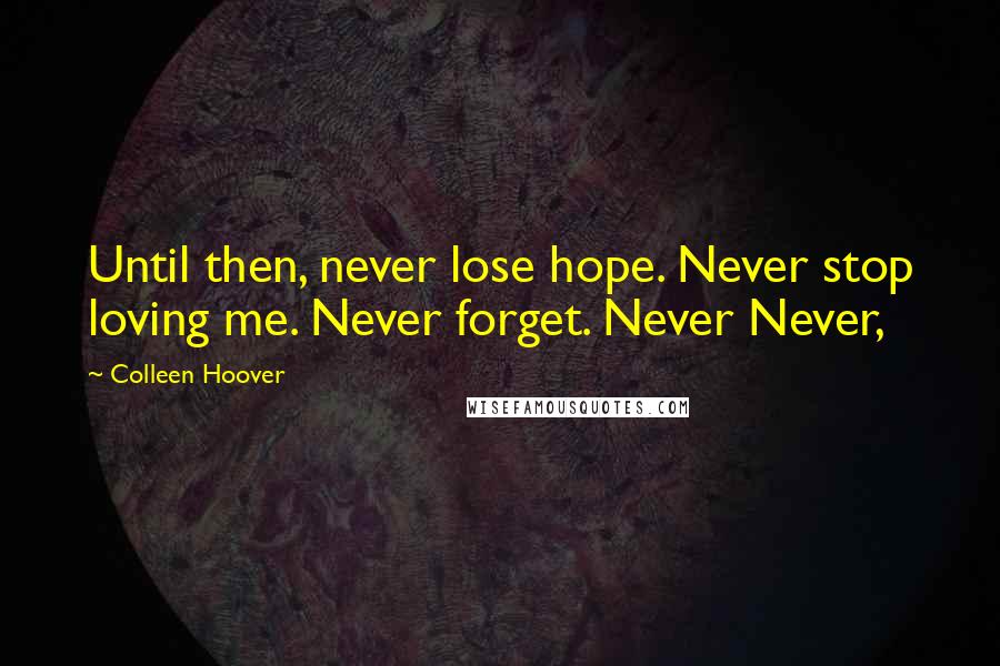 Colleen Hoover Quotes: Until then, never lose hope. Never stop loving me. Never forget. Never Never,