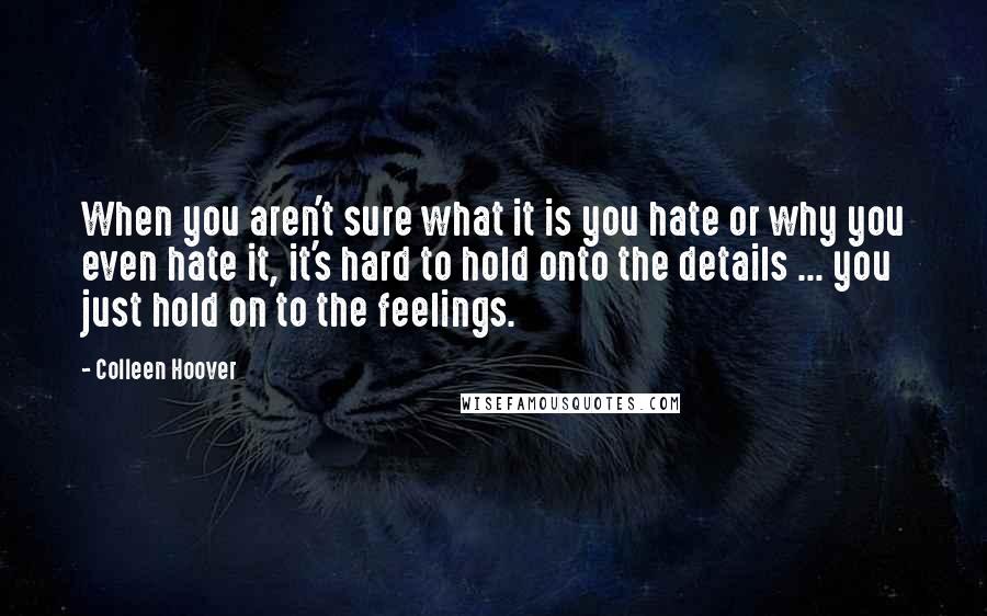 Colleen Hoover Quotes: When you aren't sure what it is you hate or why you even hate it, it's hard to hold onto the details ... you just hold on to the feelings.