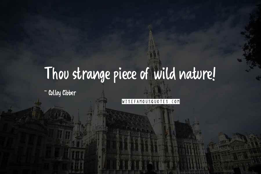 Colley Cibber Quotes: Thou strange piece of wild nature!