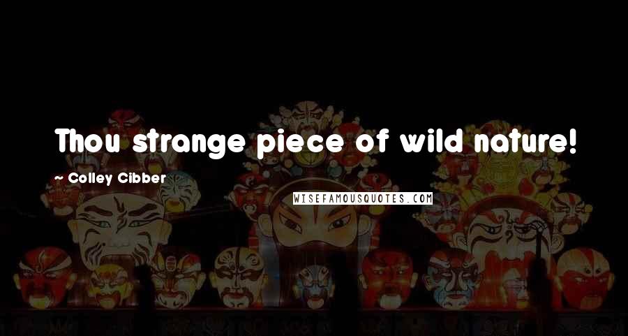 Colley Cibber Quotes: Thou strange piece of wild nature!