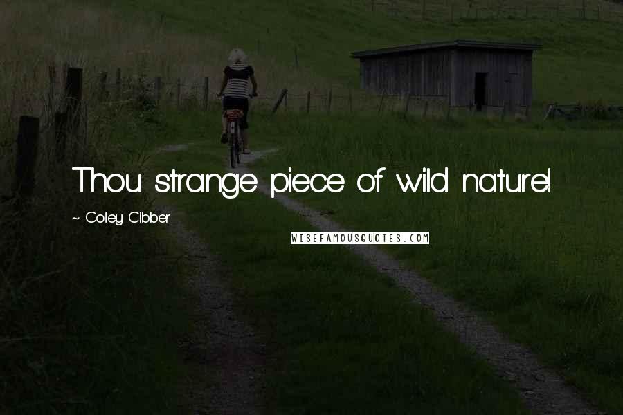 Colley Cibber Quotes: Thou strange piece of wild nature!