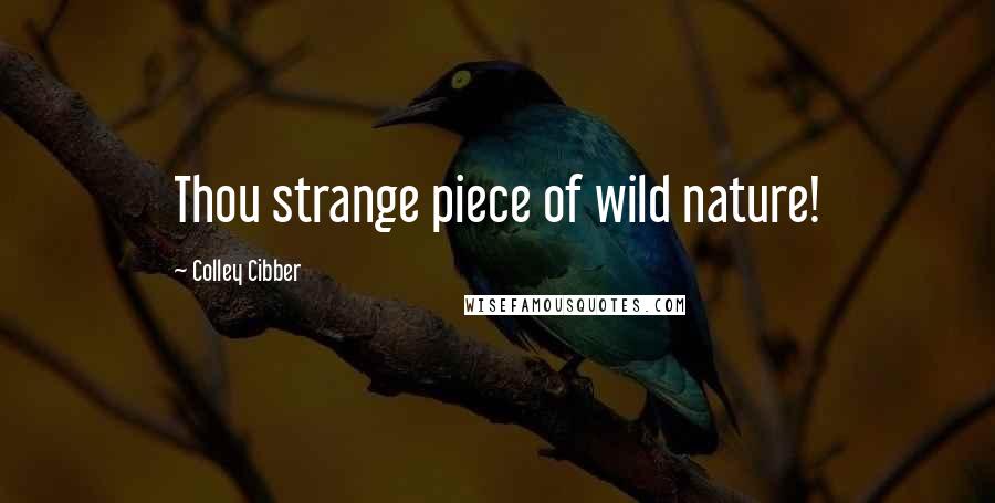 Colley Cibber Quotes: Thou strange piece of wild nature!
