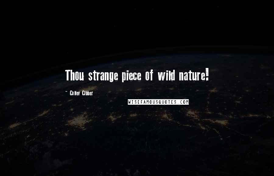 Colley Cibber Quotes: Thou strange piece of wild nature!