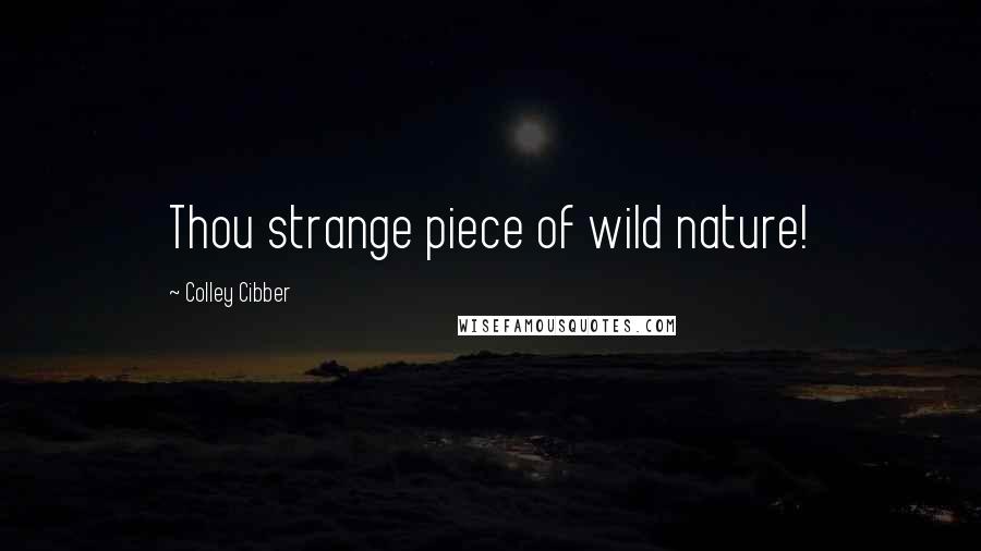 Colley Cibber Quotes: Thou strange piece of wild nature!