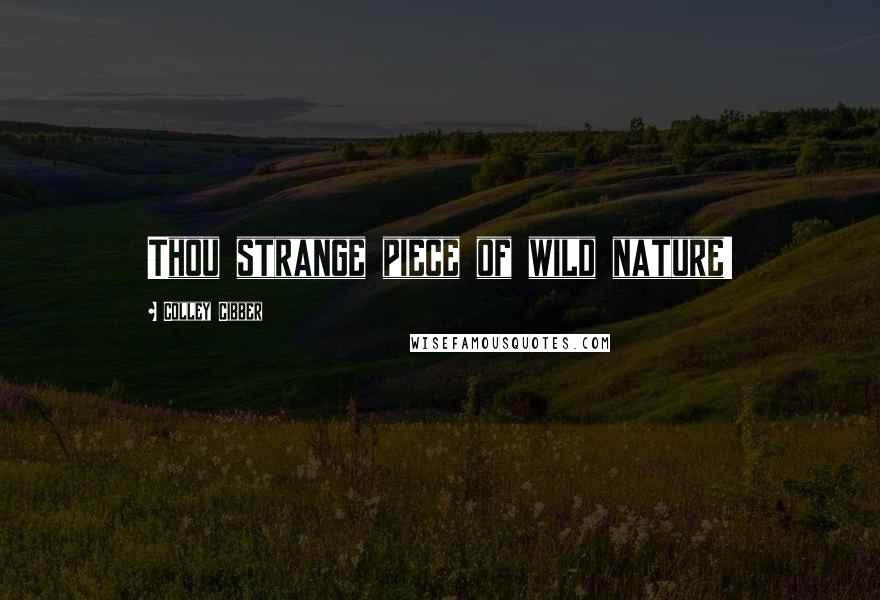 Colley Cibber Quotes: Thou strange piece of wild nature!