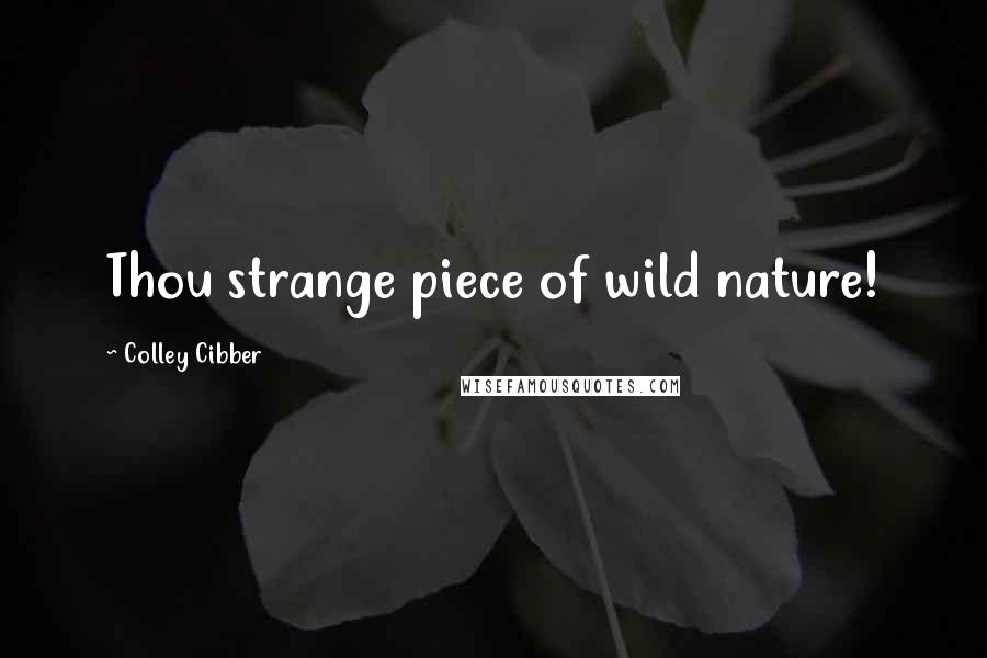 Colley Cibber Quotes: Thou strange piece of wild nature!