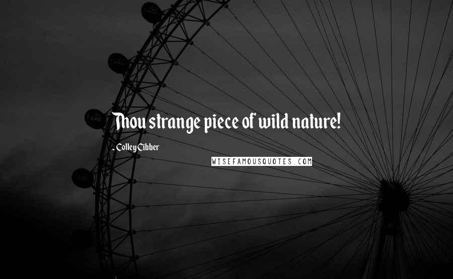 Colley Cibber Quotes: Thou strange piece of wild nature!