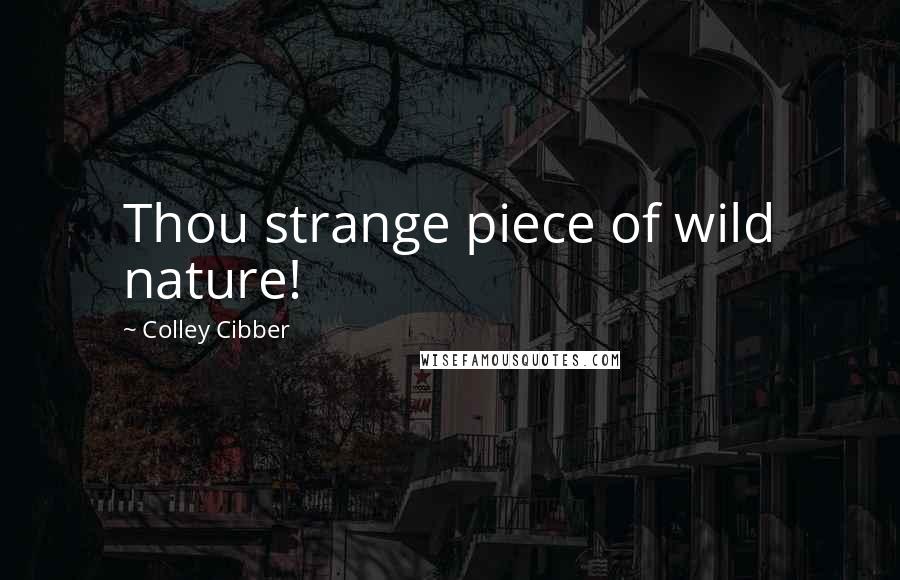 Colley Cibber Quotes: Thou strange piece of wild nature!