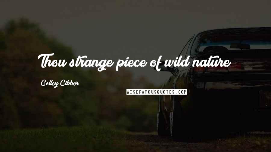 Colley Cibber Quotes: Thou strange piece of wild nature!