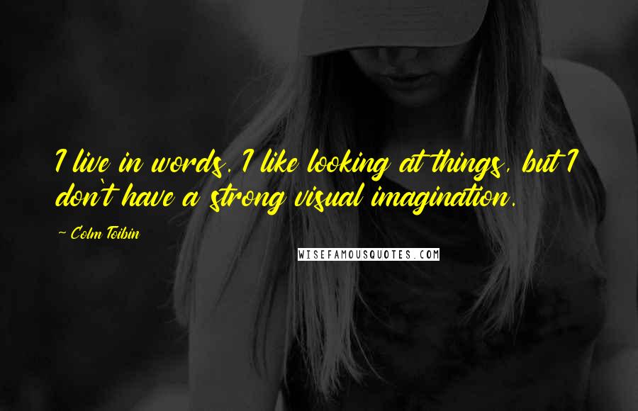 Colm Toibin Quotes: I live in words. I like looking at things, but I don't have a strong visual imagination.