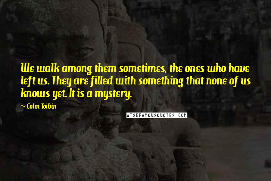 Colm Toibin Quotes: We walk among them sometimes, the ones who have left us. They are filled with something that none of us knows yet. It is a mystery.