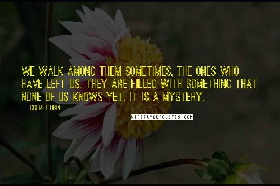 Colm Toibin Quotes: We walk among them sometimes, the ones who have left us. They are filled with something that none of us knows yet. It is a mystery.