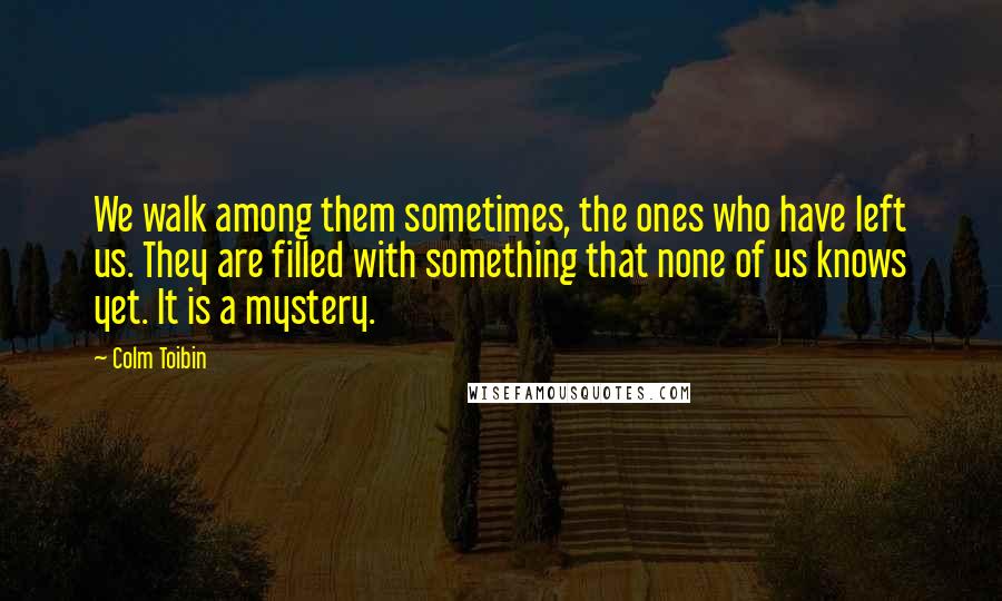 Colm Toibin Quotes: We walk among them sometimes, the ones who have left us. They are filled with something that none of us knows yet. It is a mystery.