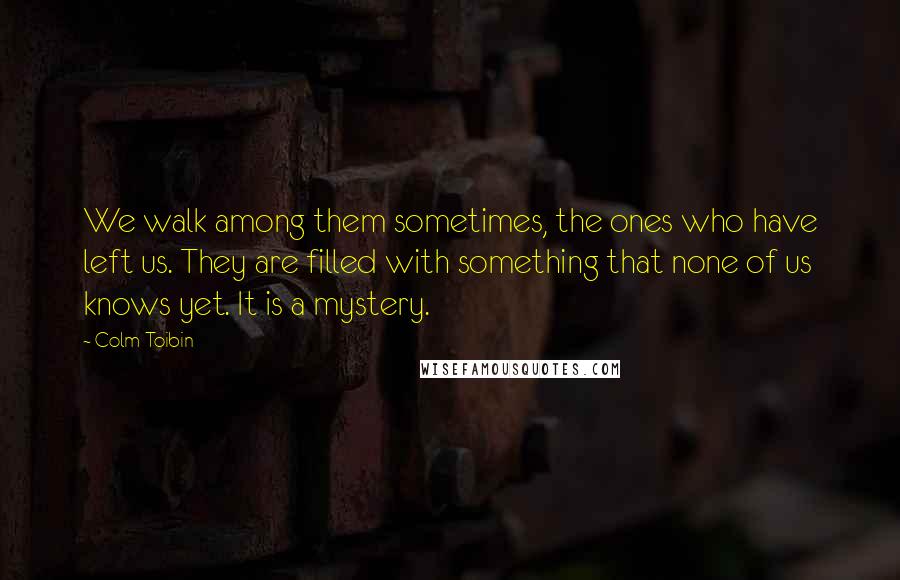 Colm Toibin Quotes: We walk among them sometimes, the ones who have left us. They are filled with something that none of us knows yet. It is a mystery.