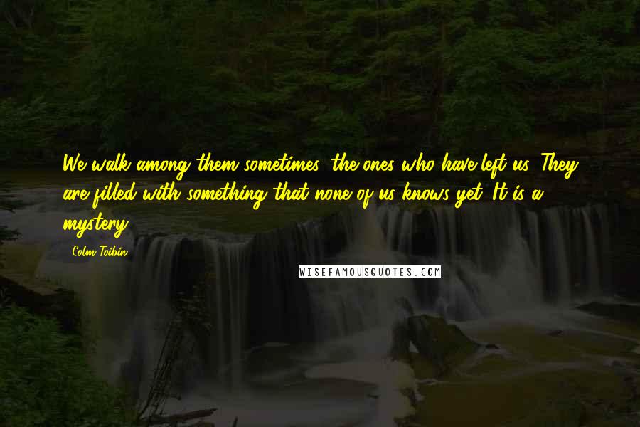 Colm Toibin Quotes: We walk among them sometimes, the ones who have left us. They are filled with something that none of us knows yet. It is a mystery.