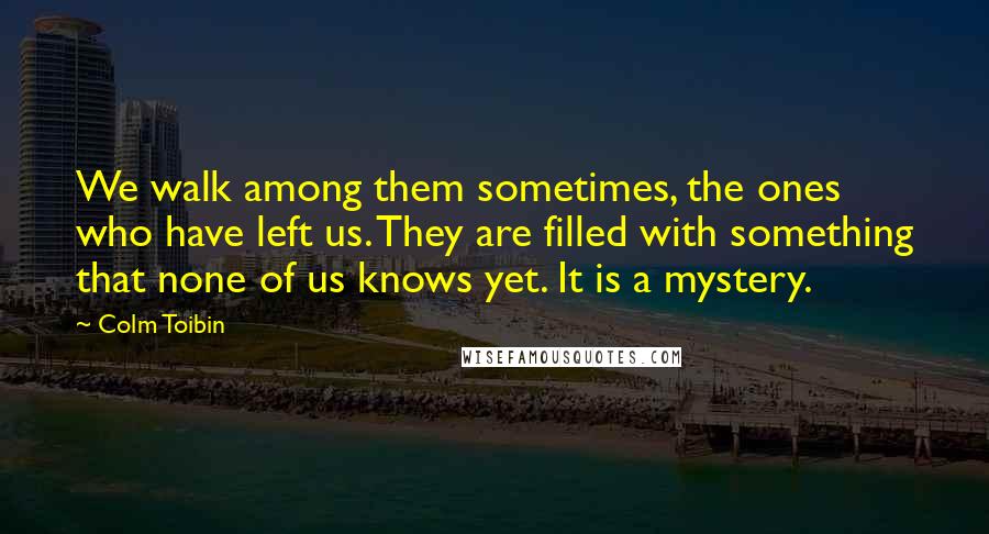 Colm Toibin Quotes: We walk among them sometimes, the ones who have left us. They are filled with something that none of us knows yet. It is a mystery.