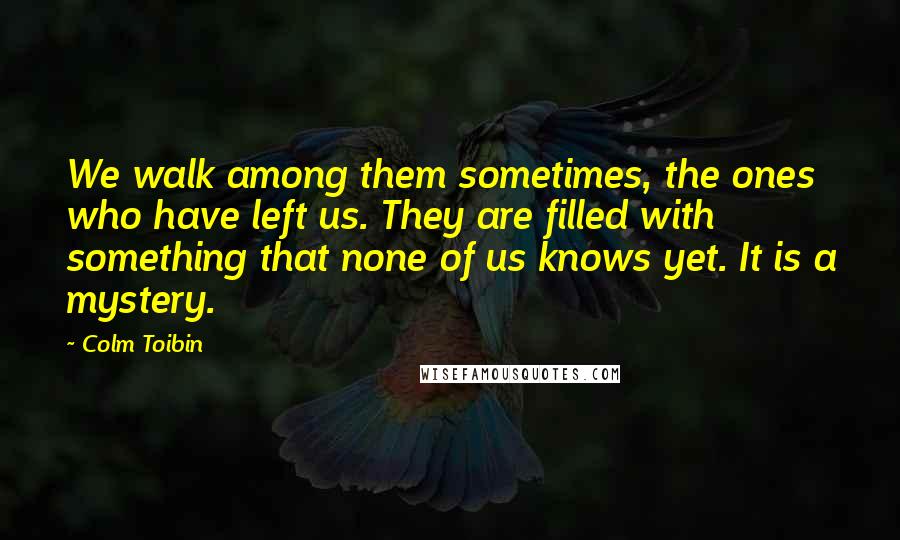 Colm Toibin Quotes: We walk among them sometimes, the ones who have left us. They are filled with something that none of us knows yet. It is a mystery.