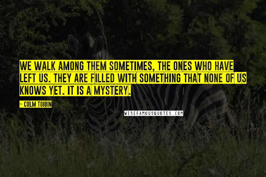 Colm Toibin Quotes: We walk among them sometimes, the ones who have left us. They are filled with something that none of us knows yet. It is a mystery.