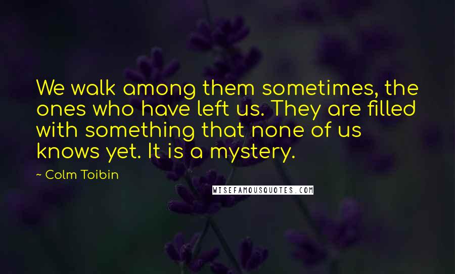 Colm Toibin Quotes: We walk among them sometimes, the ones who have left us. They are filled with something that none of us knows yet. It is a mystery.