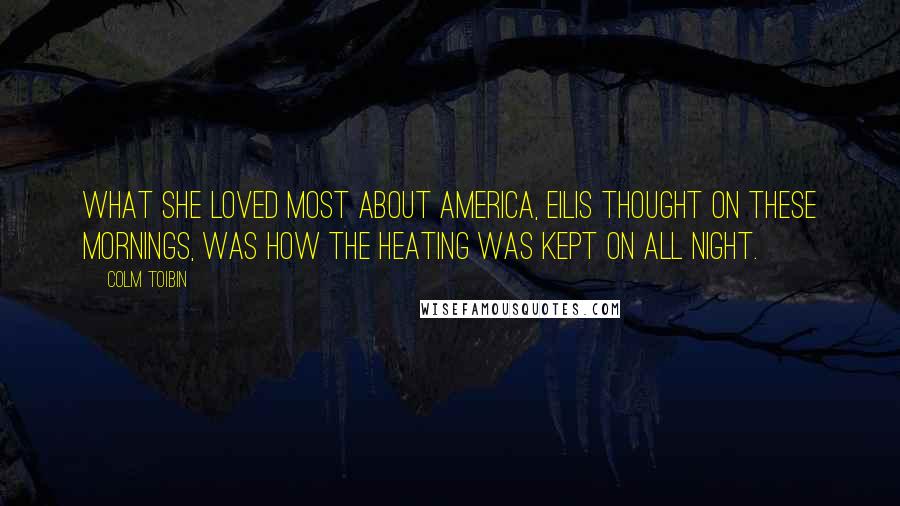 Colm Toibin Quotes: What she loved most about America, Eilis thought on these mornings, was how the heating was kept on all night.