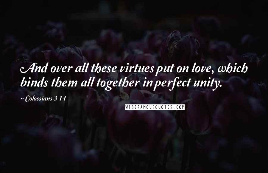 Colossians 3 14 Quotes: And over all these virtues put on love, which binds them all together in perfect unity.