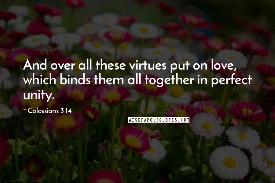 Colossians 3 14 Quotes: And over all these virtues put on love, which binds them all together in perfect unity.