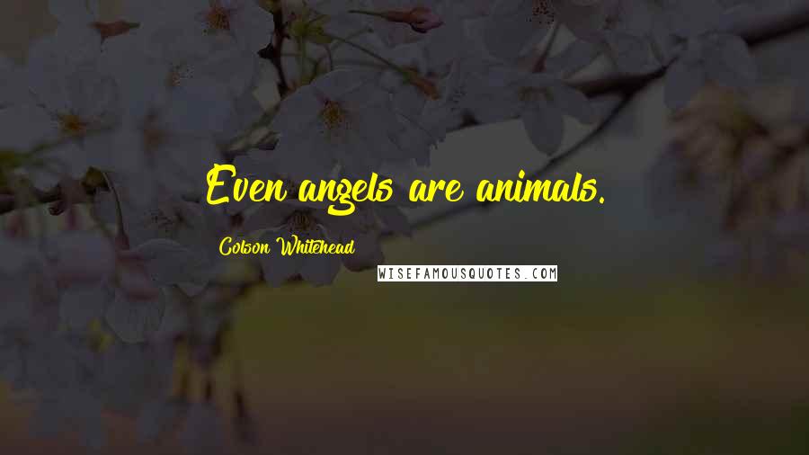 Colson Whitehead Quotes: Even angels are animals.