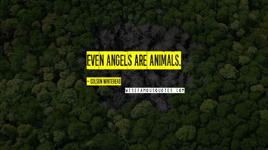 Colson Whitehead Quotes: Even angels are animals.