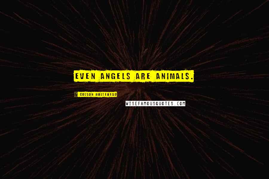 Colson Whitehead Quotes: Even angels are animals.