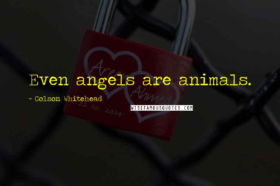 Colson Whitehead Quotes: Even angels are animals.