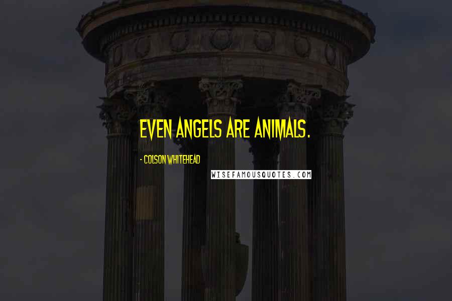 Colson Whitehead Quotes: Even angels are animals.