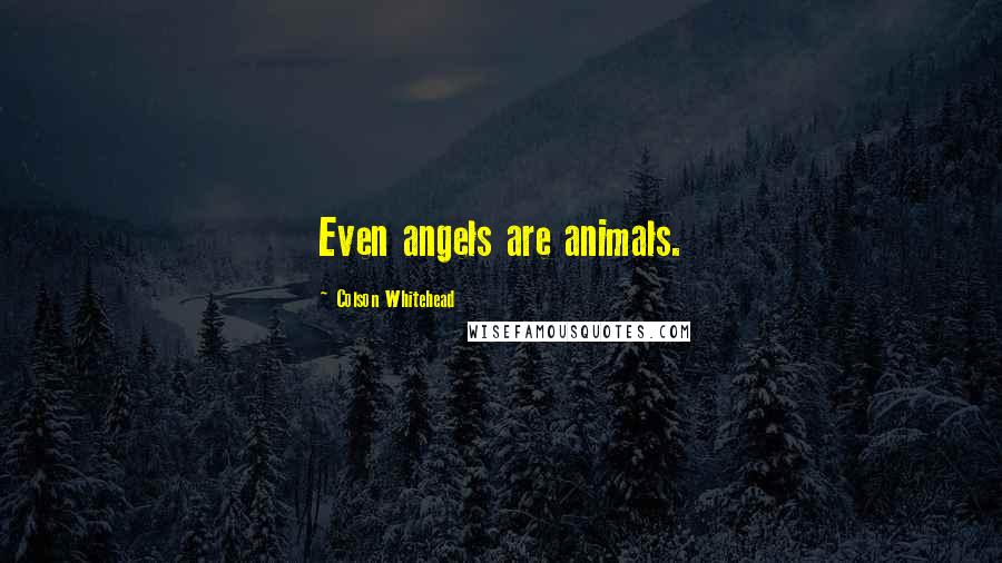 Colson Whitehead Quotes: Even angels are animals.