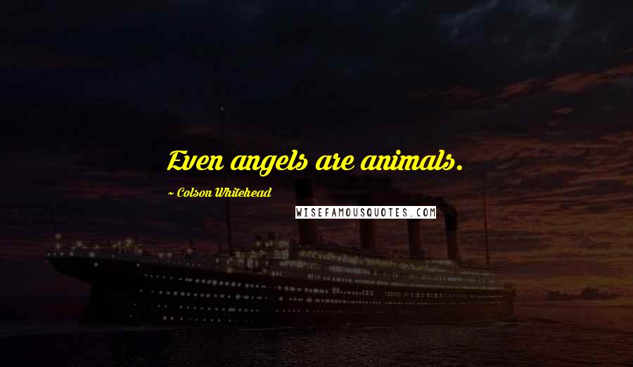 Colson Whitehead Quotes: Even angels are animals.