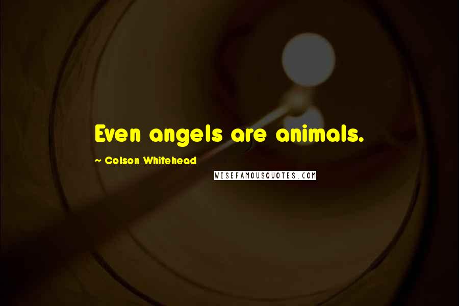 Colson Whitehead Quotes: Even angels are animals.