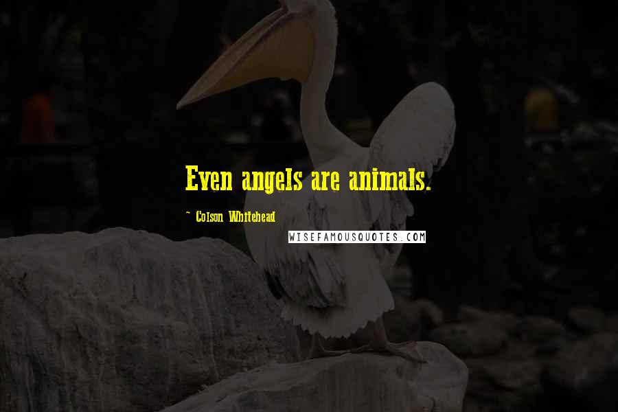 Colson Whitehead Quotes: Even angels are animals.