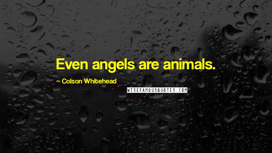 Colson Whitehead Quotes: Even angels are animals.